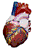 heart.gif (11418 bytes)